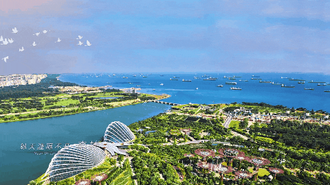 DB�羺(DBGame)�ٷ���վ