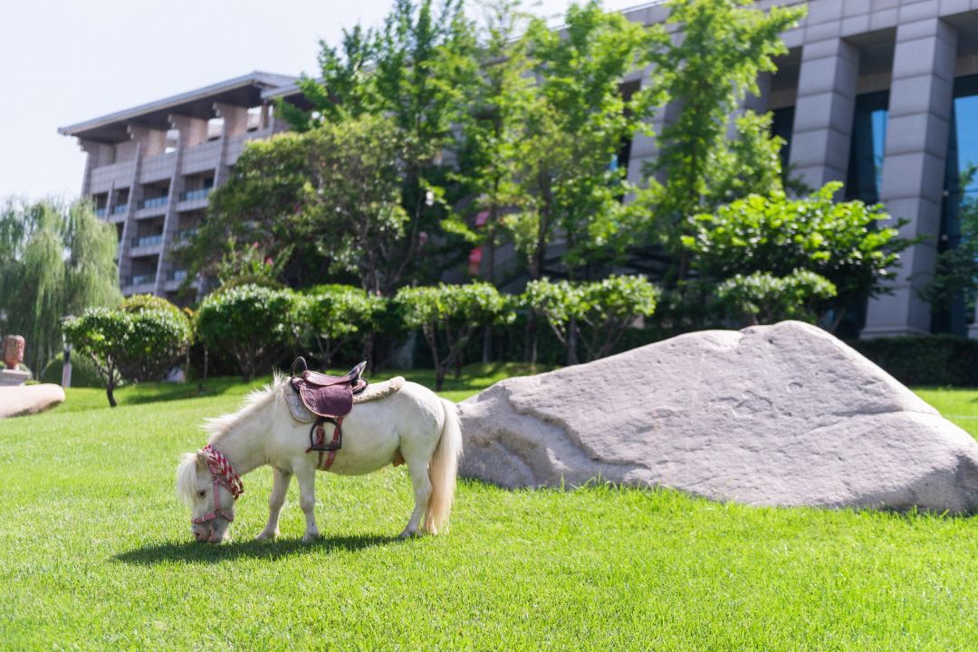 DB�羺(DBGame)�ٷ���վ