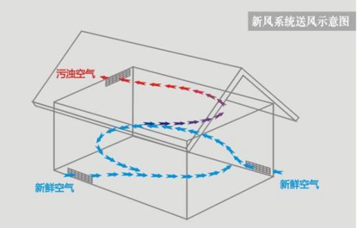 DB�羺(DBGame)�ٷ���վ