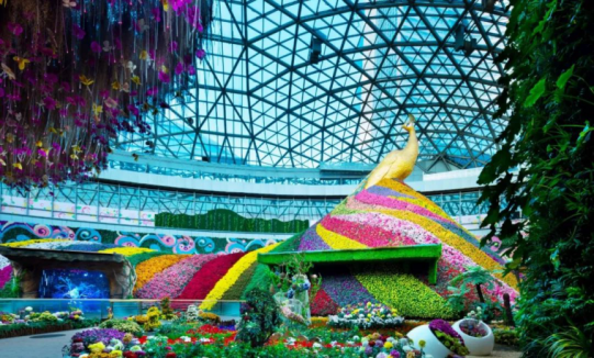 DB�羺(DBGame)�ٷ���վ