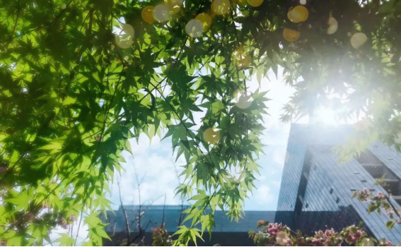 DB�羺(DBGame)�ٷ���վ