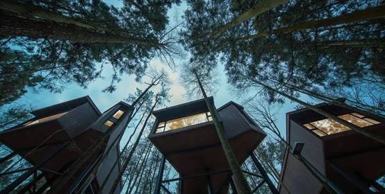 DB�羺(DBGame)�ٷ���վ