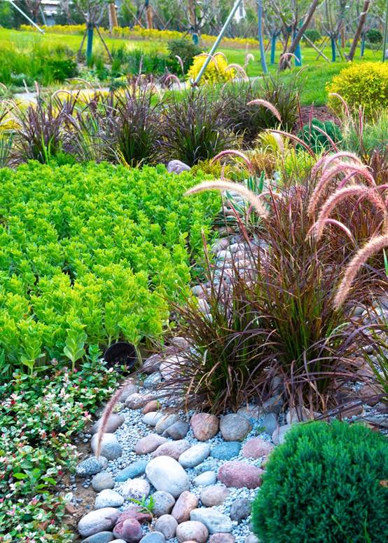 DB�羺(DBGame)�ٷ���վ