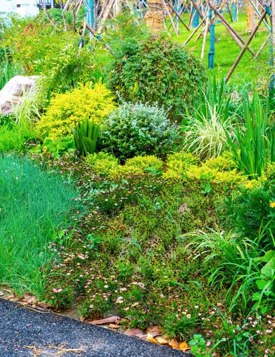 DB�羺(DBGame)�ٷ���վ