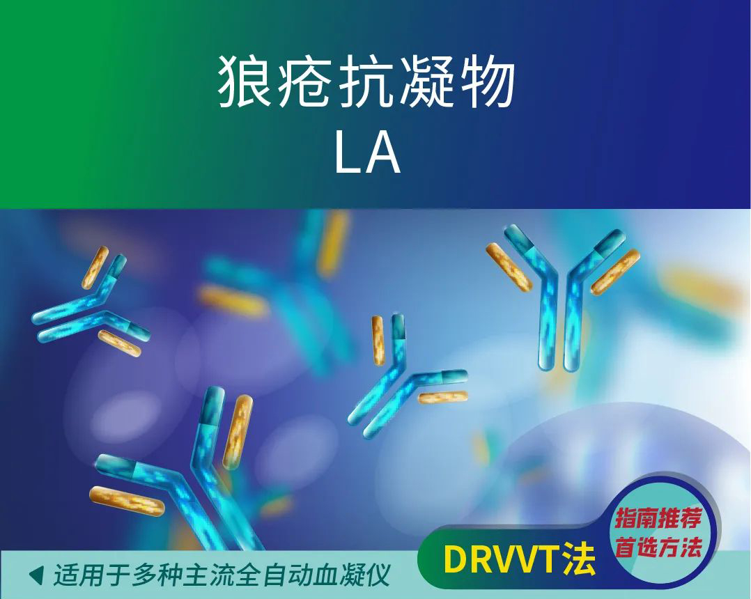 博88-betB88-意甲拉齐奥官方合作伙伴